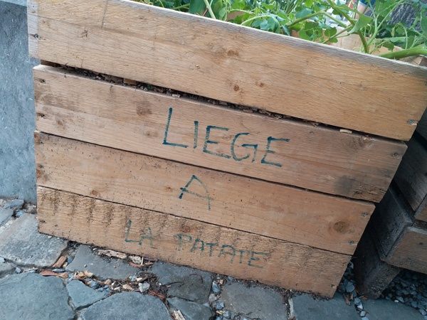 Liège a la patate - © Ville de Liège (Communication) - C NEYS